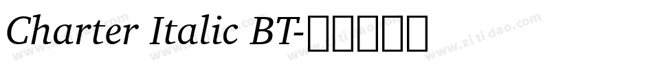 Charter Italic BT字体转换